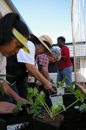 City Slicker Farms