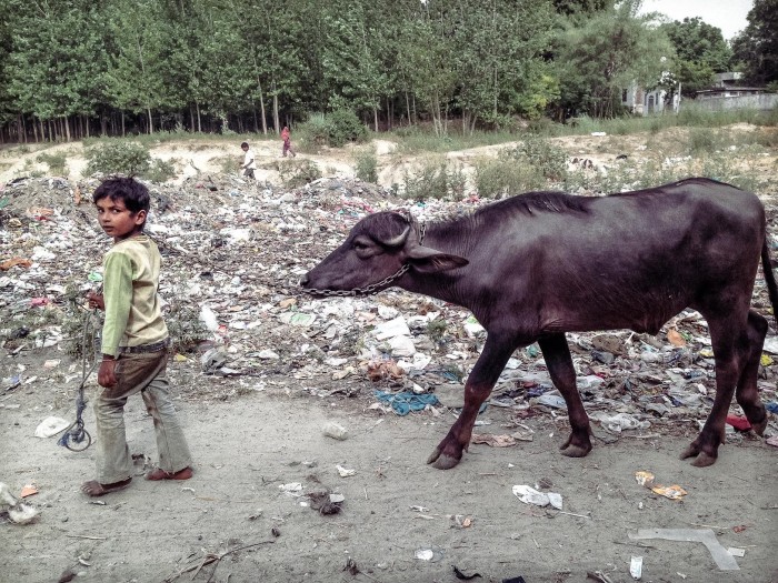 1st Place: Priscilla Liu, Hariana India