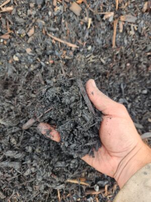 A close-up of a hand holding a handful of dark, rich organic material. The material appears to be moist and fibrous, containing small wood chips, twigs, and other decomposed plant matter. The surrounding area is covered with more of the same substance.