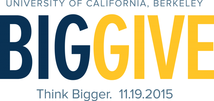 Big Give 2016