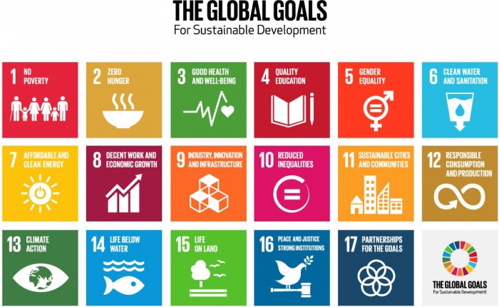 Sustainable Development Goals (SDGs)