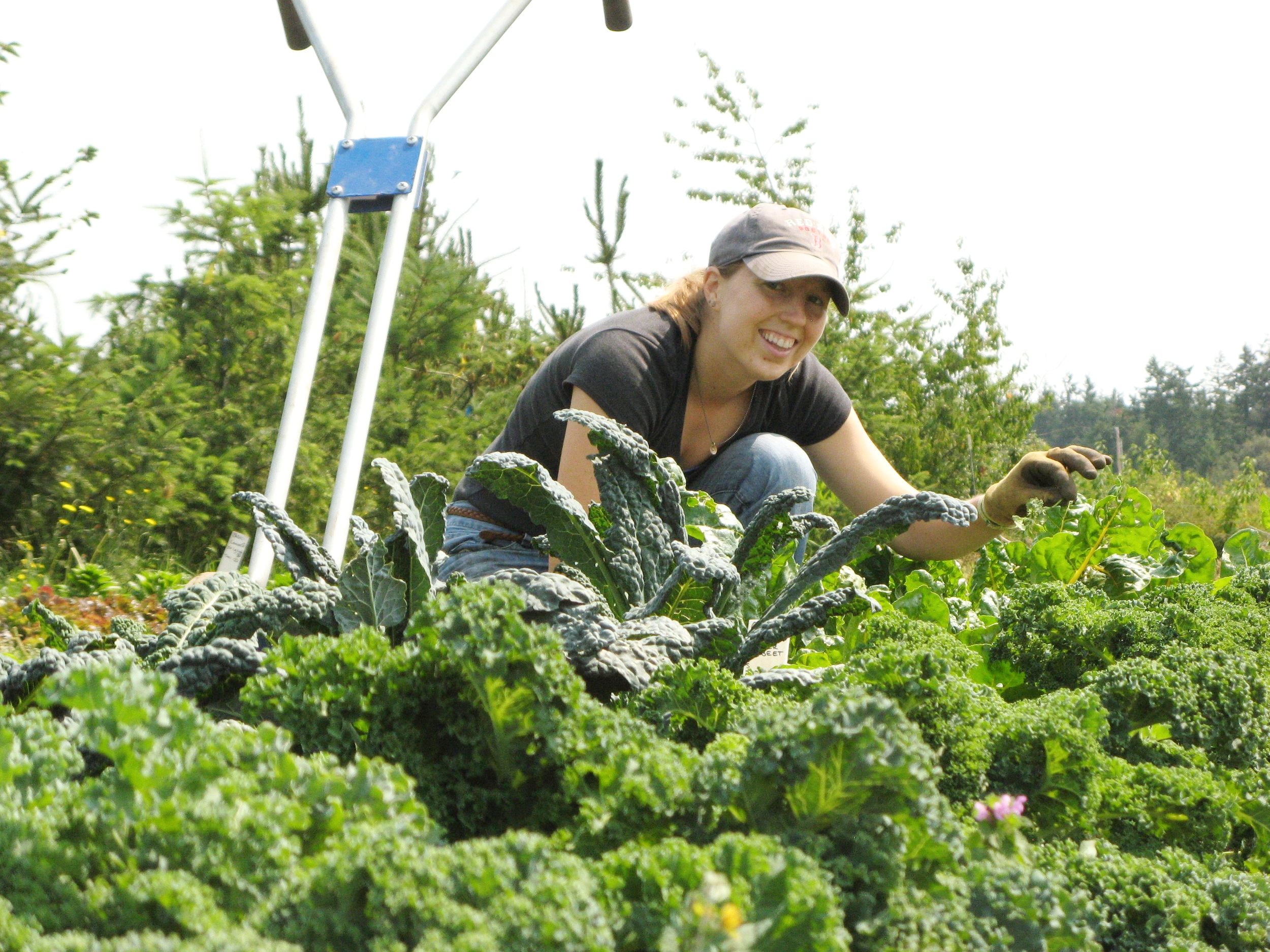 A woman is crouching in a field filled with lush green kale. She is smiling and appears to be engaged in farming or gardening.